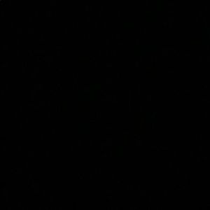 Meet your Posher, Ava